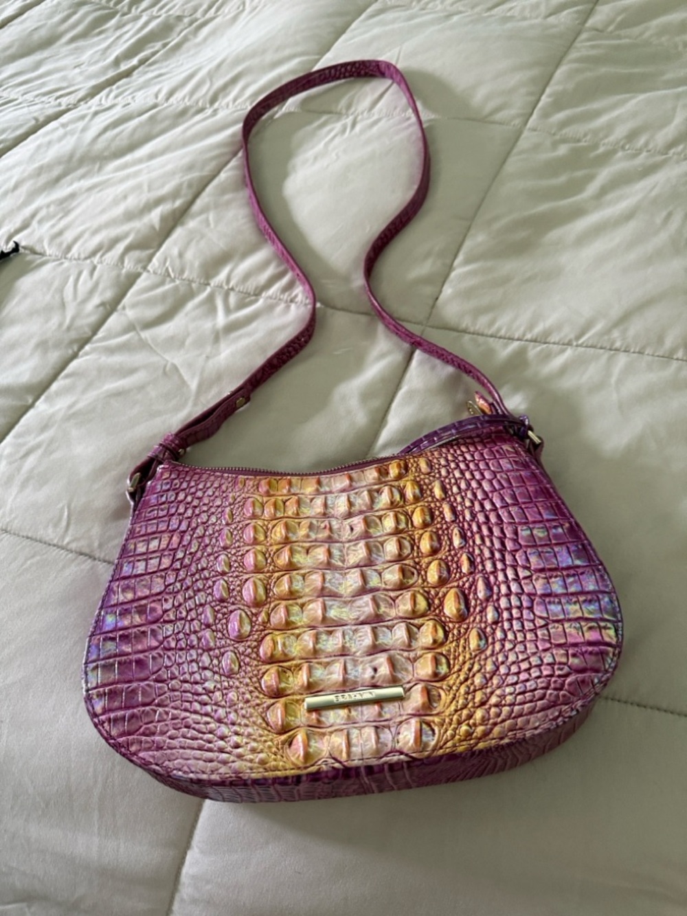 Brahmin Shayna Grapefruit Ombré Melbourne Genuine Leather purse